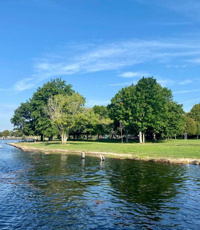 Rising tidal waters surround a grassy city park with tall, leafy trees in the background.