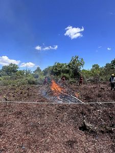 A small fire burns in a marked off section of a natural area.
