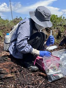 A person wearing rubber gloves collects soil samples in plastic bags.