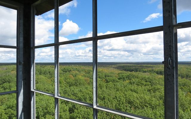 Elevated view of dense forest extending into the distance from inside a fire tower in summer.