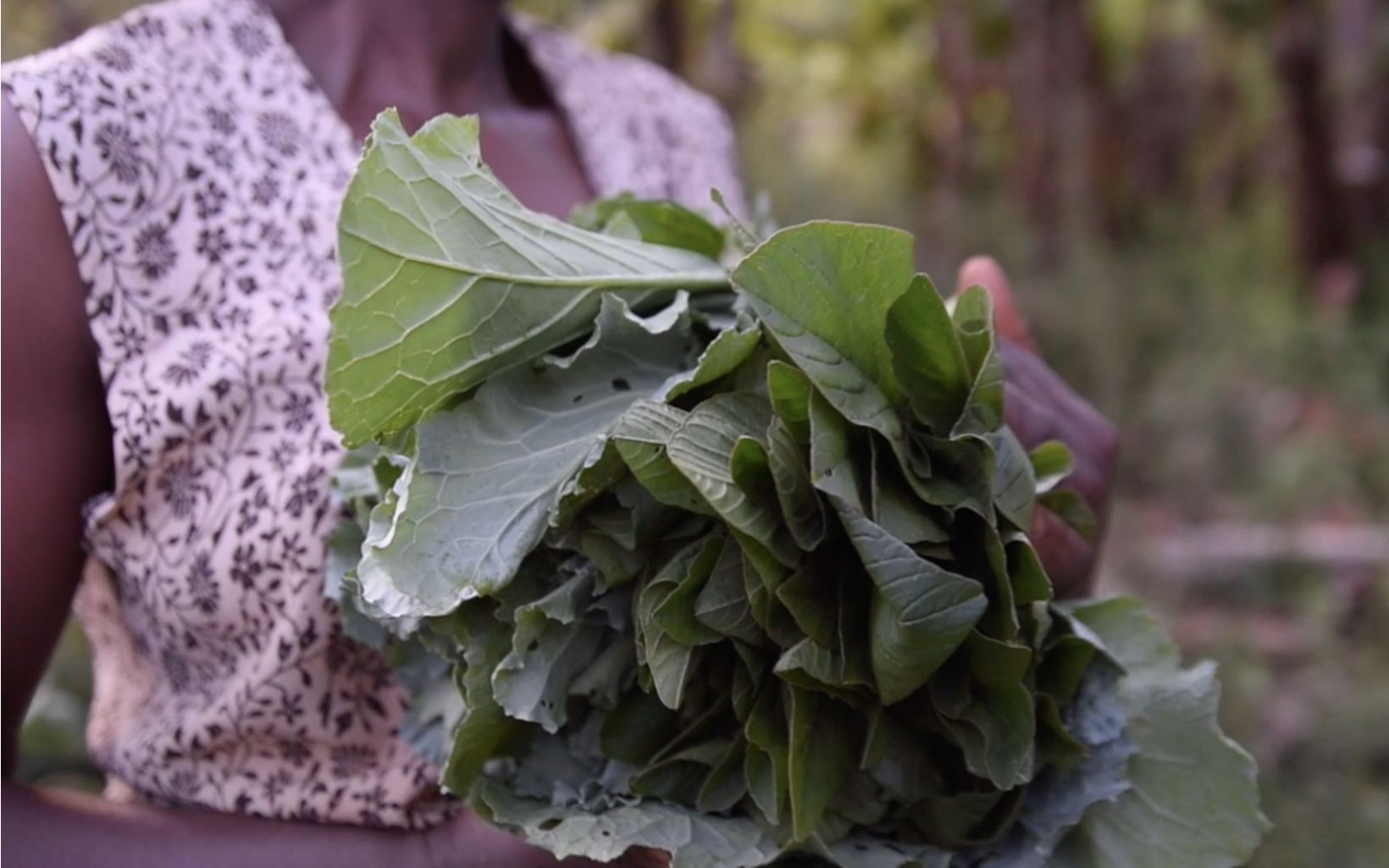 Irene Mumiria holds vegetables she grows on her farm in Maragua, Kenya. 