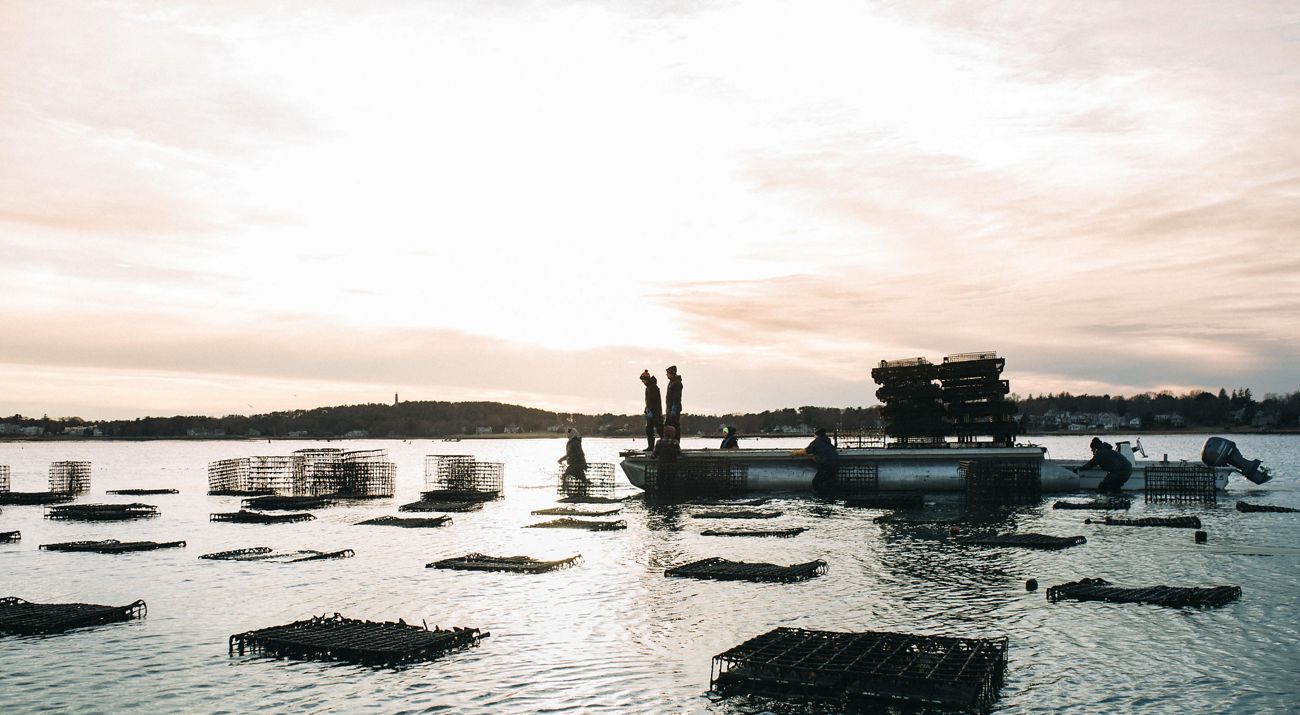 people standing on a flat boat in the water surrounded by shellfish cages.