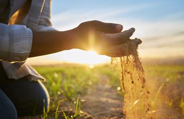 Hands holding soil in a field.