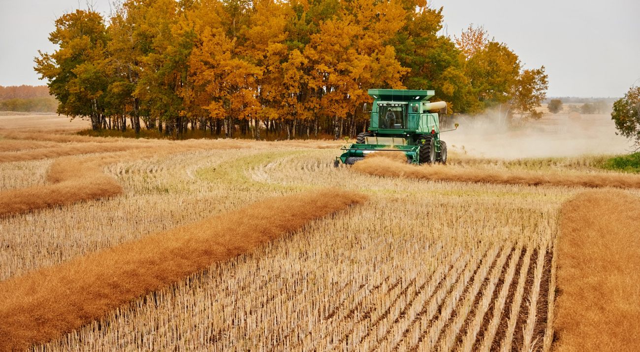 Tractor in a field.