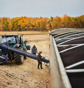 Two men using an auger in an agriculture field.