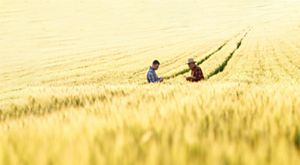 Two people standing in agricultural field.