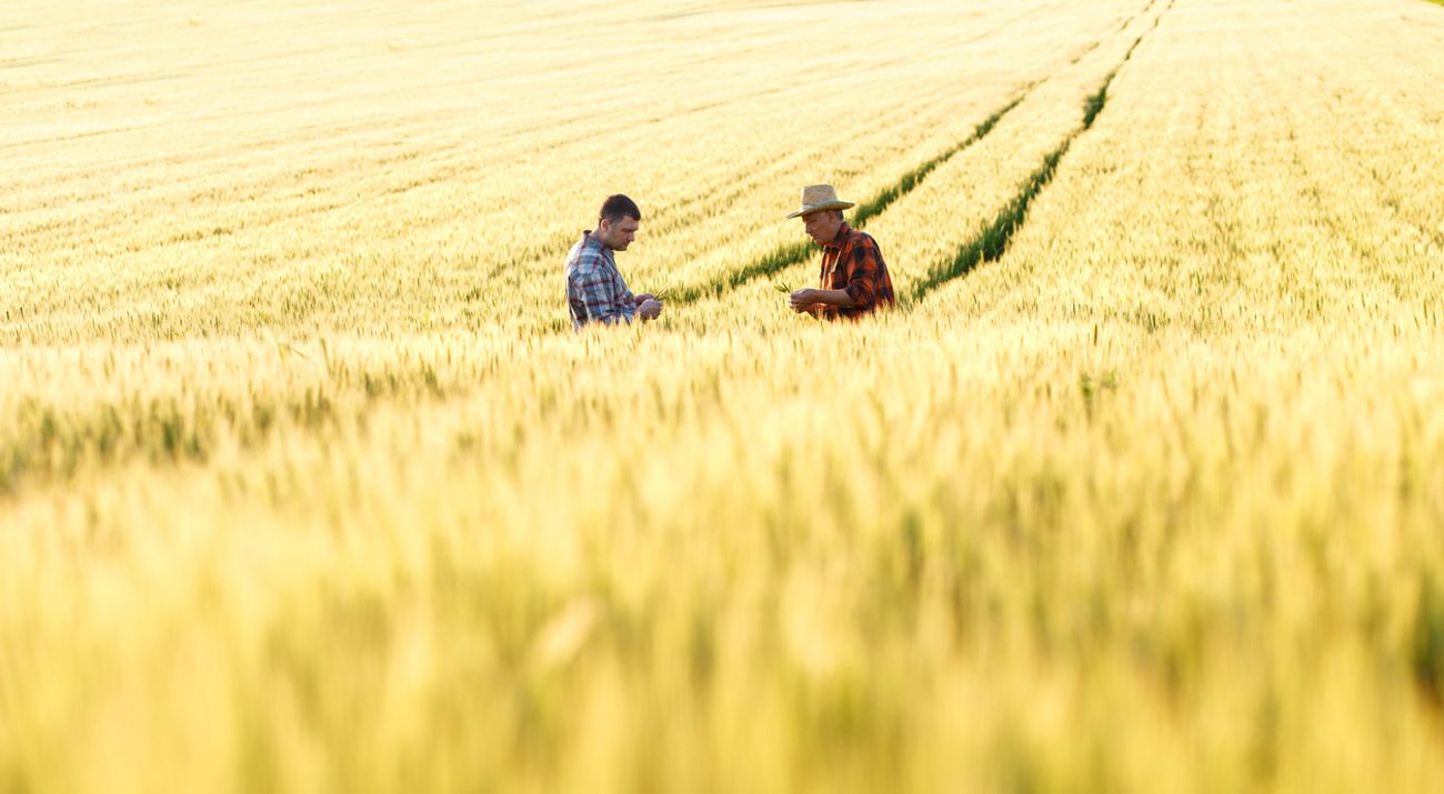 Two people standing in an agricultural field.