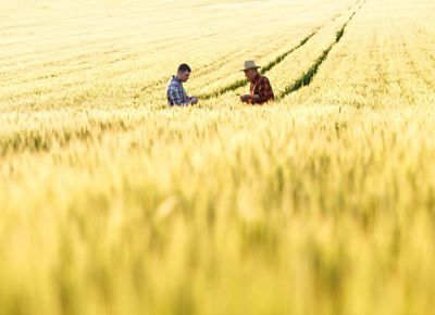 Two people standing in a field
