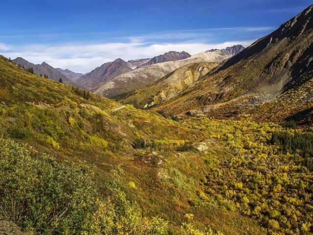 Mountain and valley landscape covered by brush and trees.