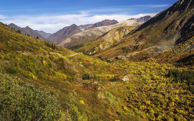 A shrubland in a valley in between mountains.