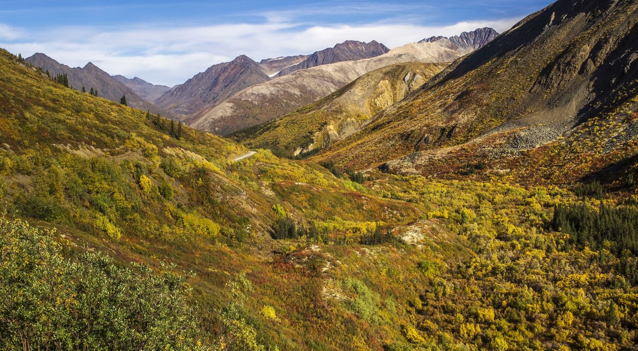View of mountains and valleys covered in brush and trees.