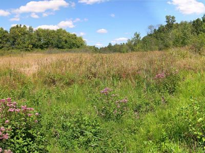 An alkaline spring-fed prairie blends into a floodplain forest.