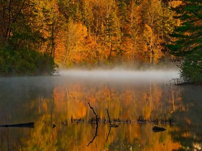Orange and gold leaves are reflected in a calm, flat creek as white mist rises from the water in the early morning.