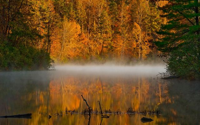 Orange and gold leaves are reflected in a calm, flat creek as white mist rises from the water in the early morning.