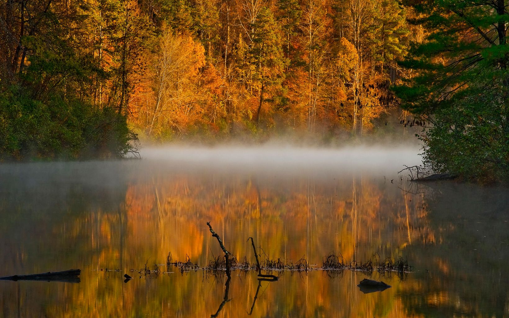 Orange and gold leaves are reflected in a calm, flat creek as white mist rises from the water in the early morning.