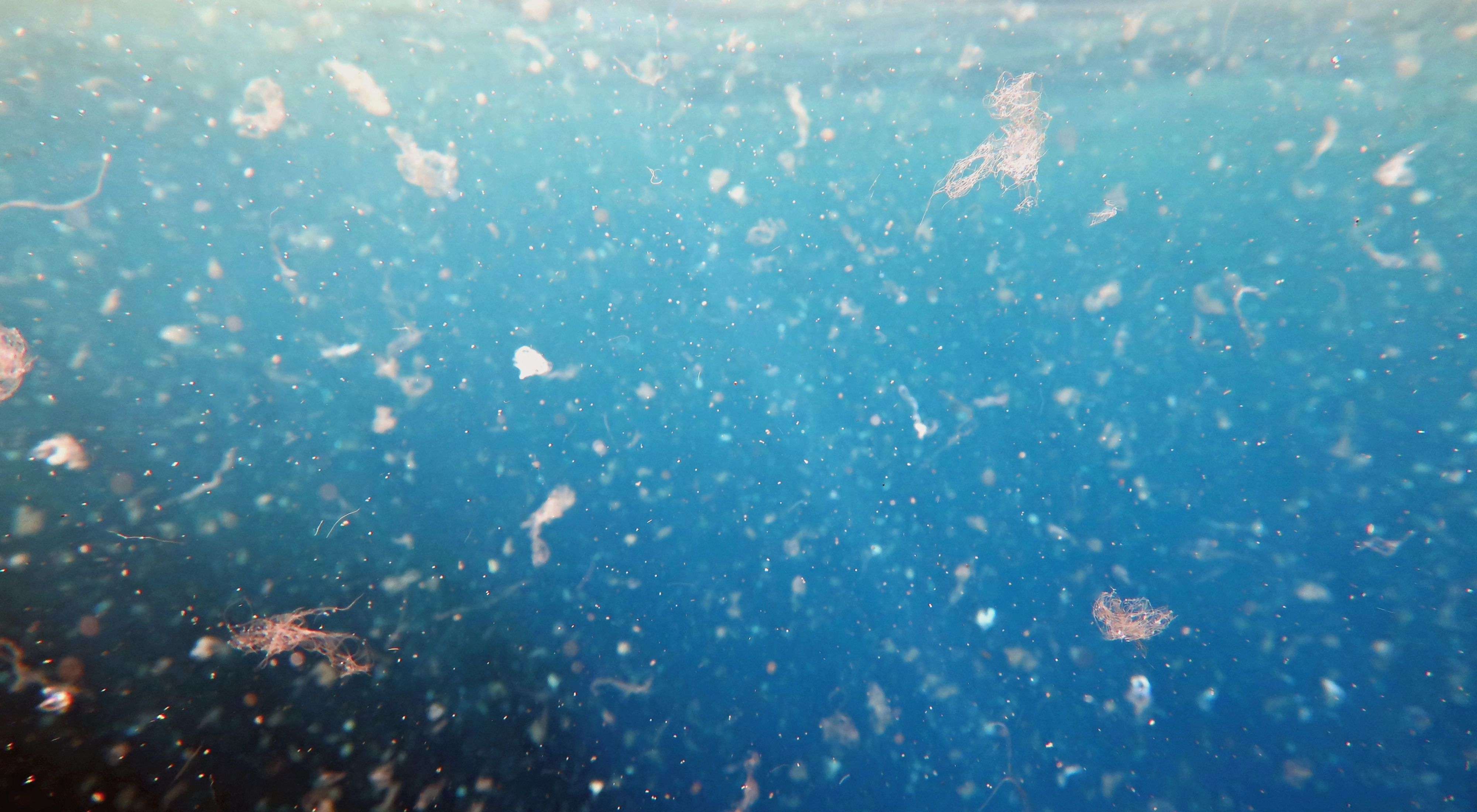 Detailed photography of sea water contaminated by micro plastic. 