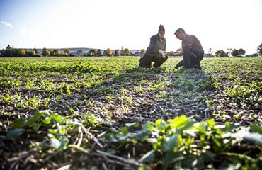 Two people looking at plants in a field.
