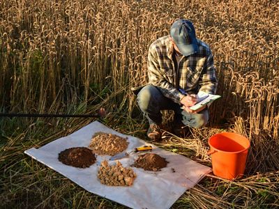 Person taking samples of soil.