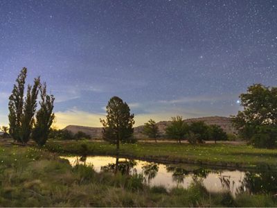 A pond surrounded by trees and towering plateaus is illuminated by fireflies and stars.
