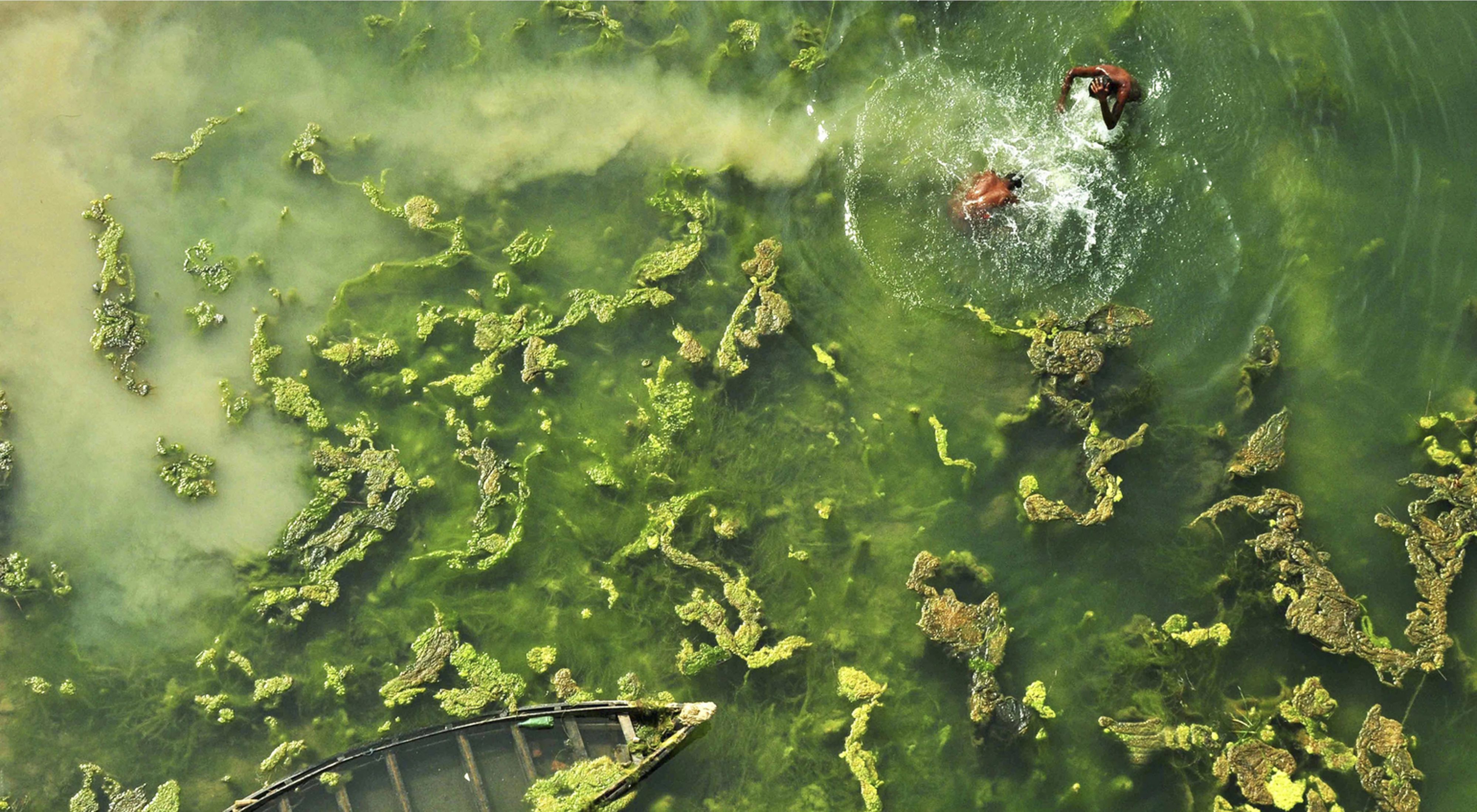 Aerial view of people bathing in West Bengal, India.