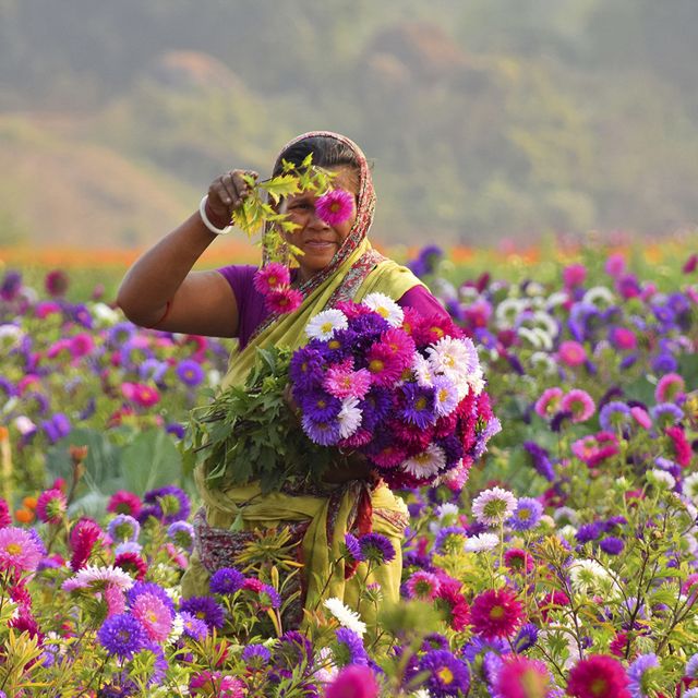 A woman working at a flower field