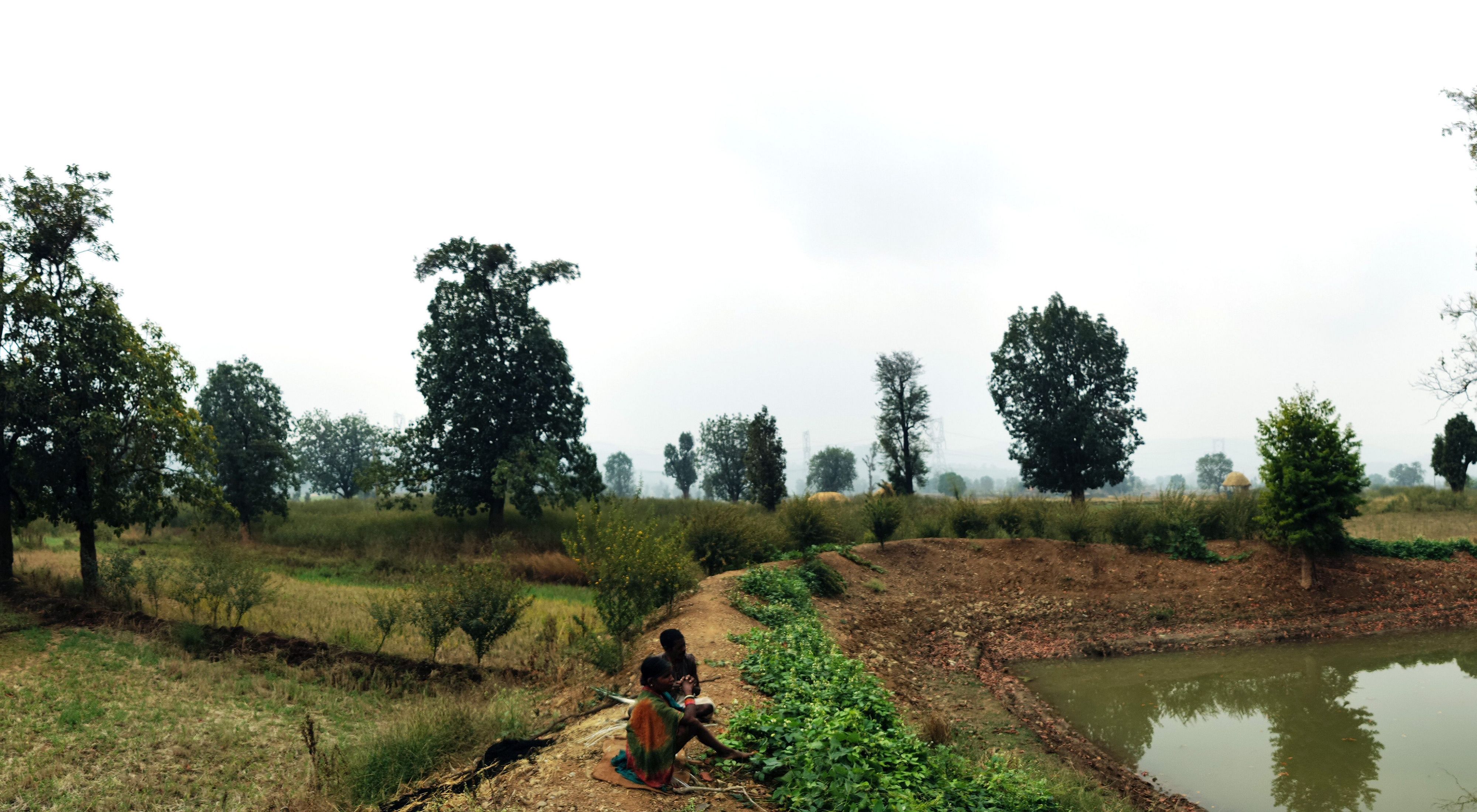 Women collecting timber