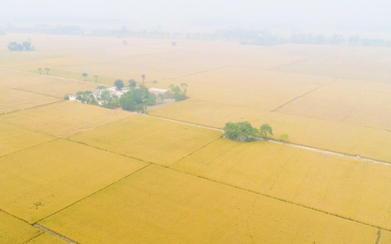 over a farm in Ludhiana, Punjab