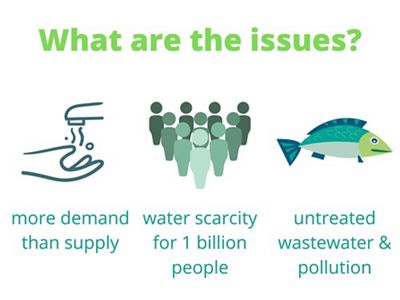 to the future of freshwater ecosystems