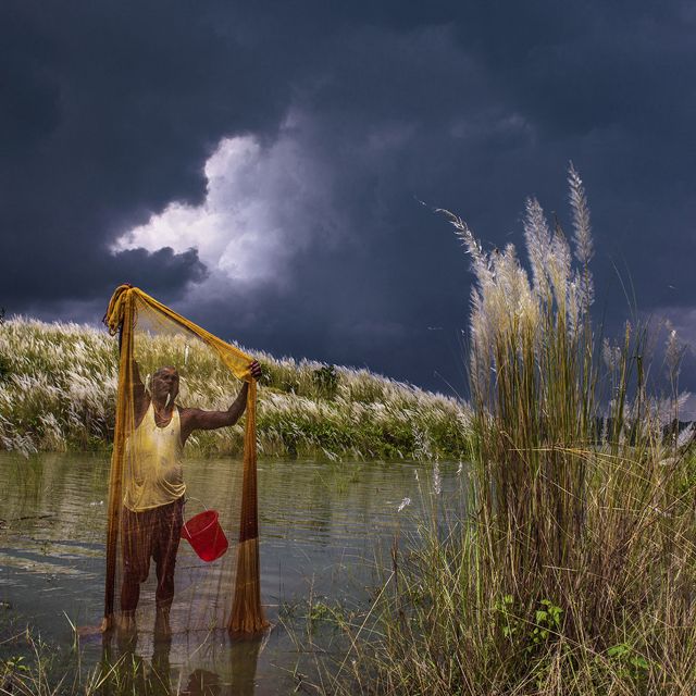 searches his net while storm clouds gather