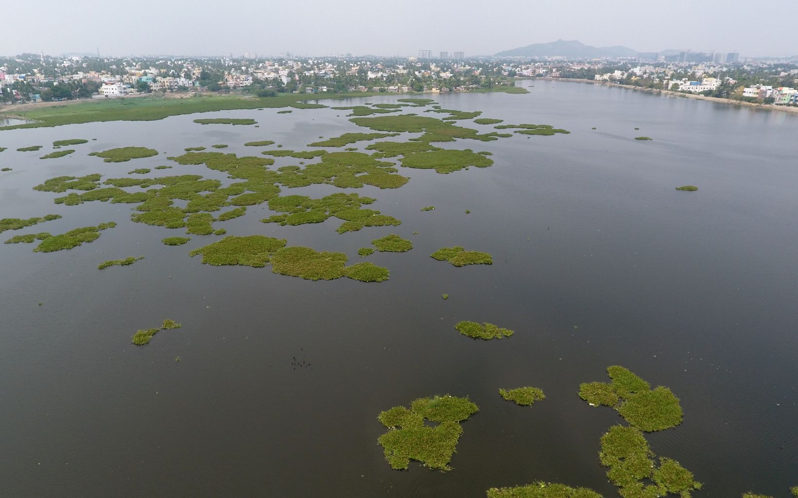of Lake Sembakkam in Chennai