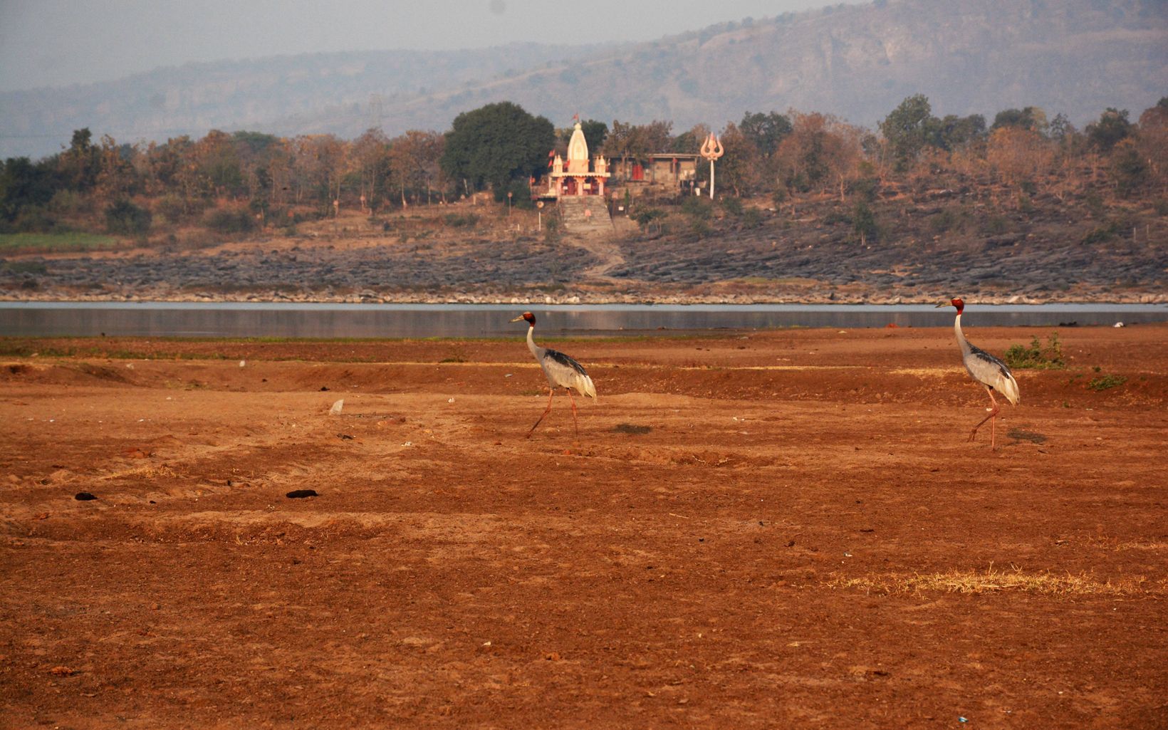 prancing on the banks of River Narmada