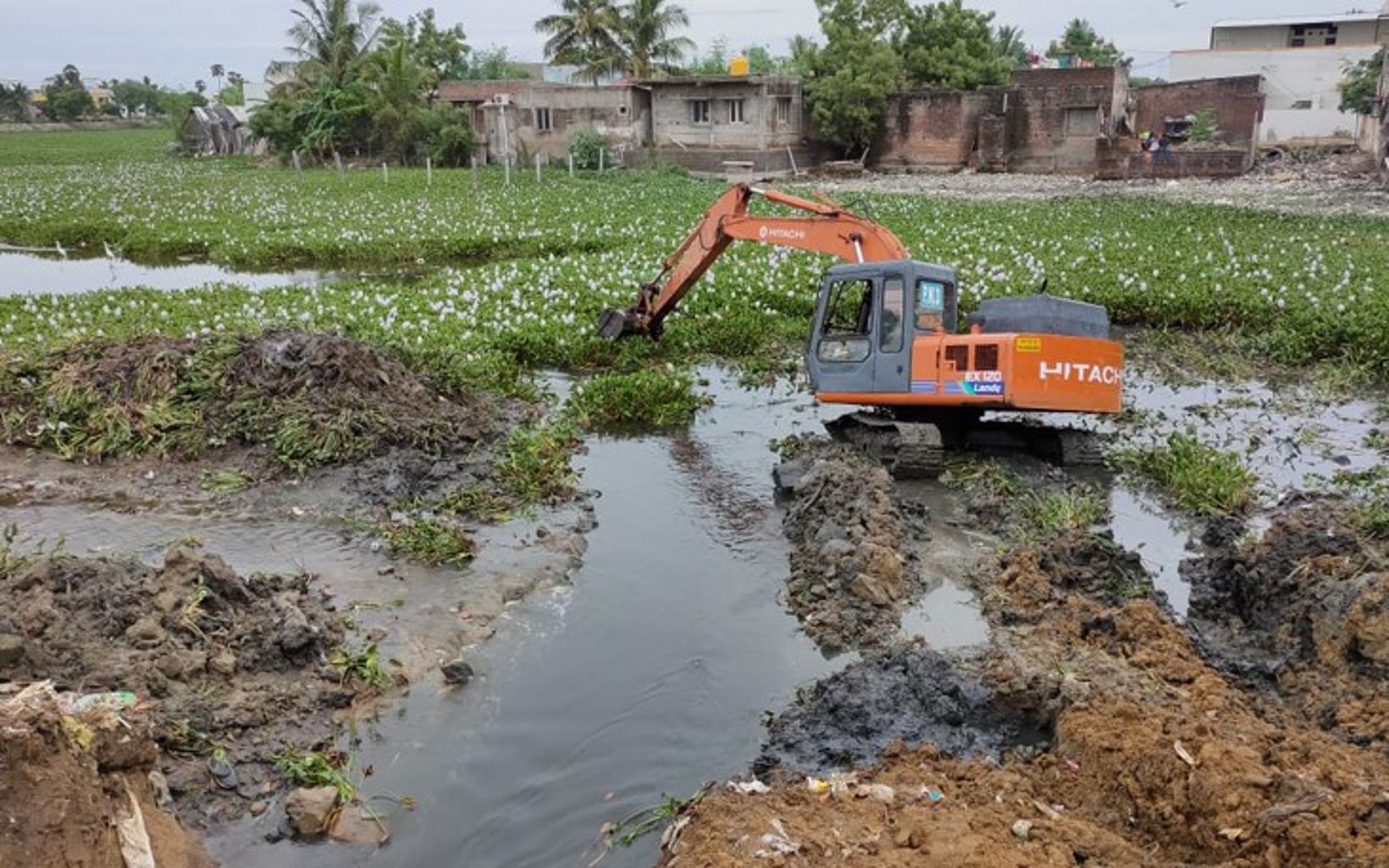 
                
                  Removal of silt and weeds from Lake Sembakkam


                  © TNC
                
              