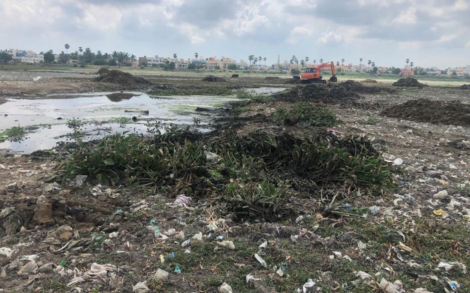 Troubled Waters Silt and solid waste accumulated at Lake Sembakkam.
 © TNC