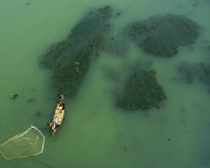 Indian fisherman fishing