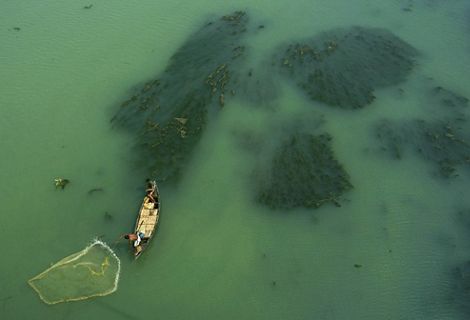 Indian fisherman fishing