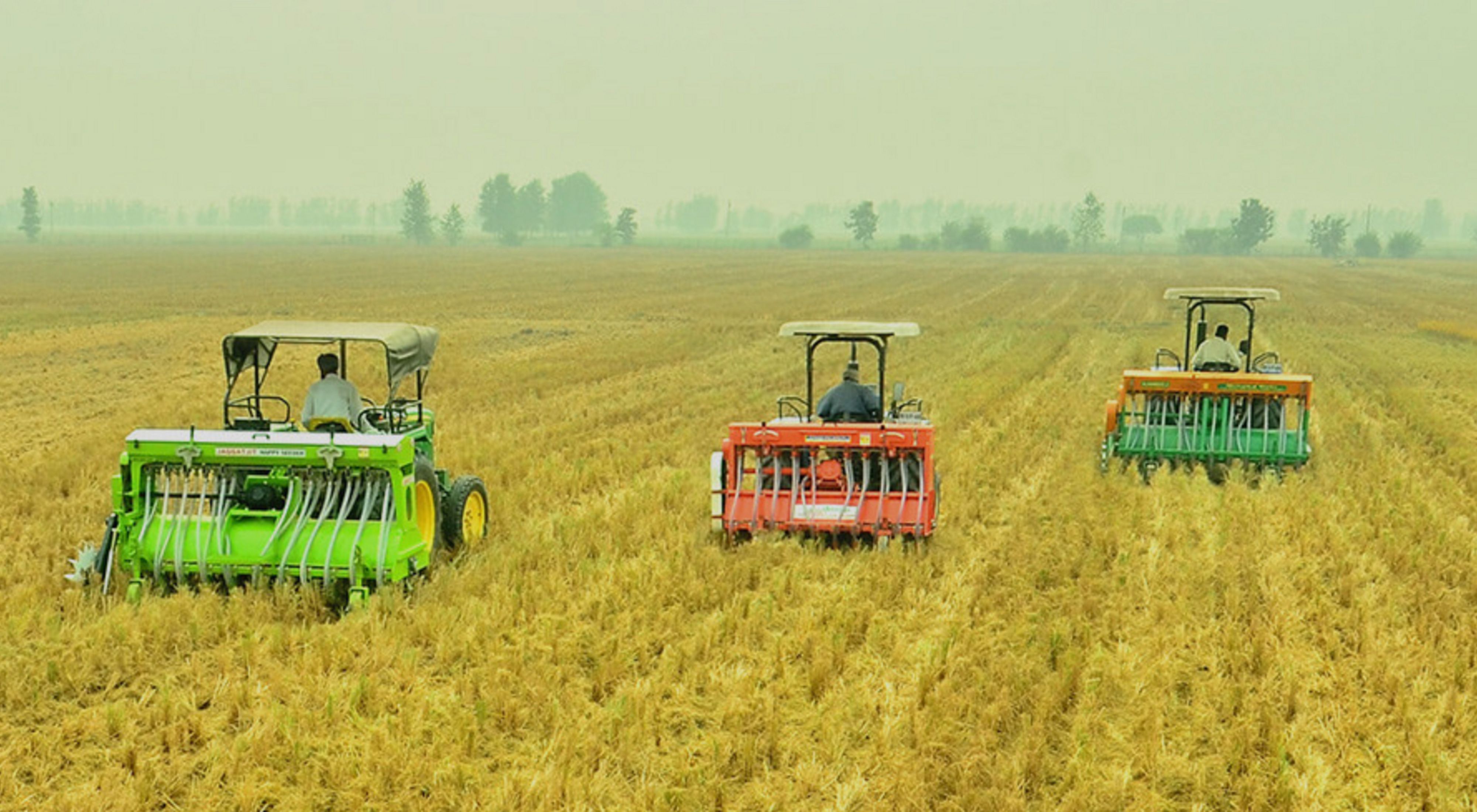 in farms of Northwest India