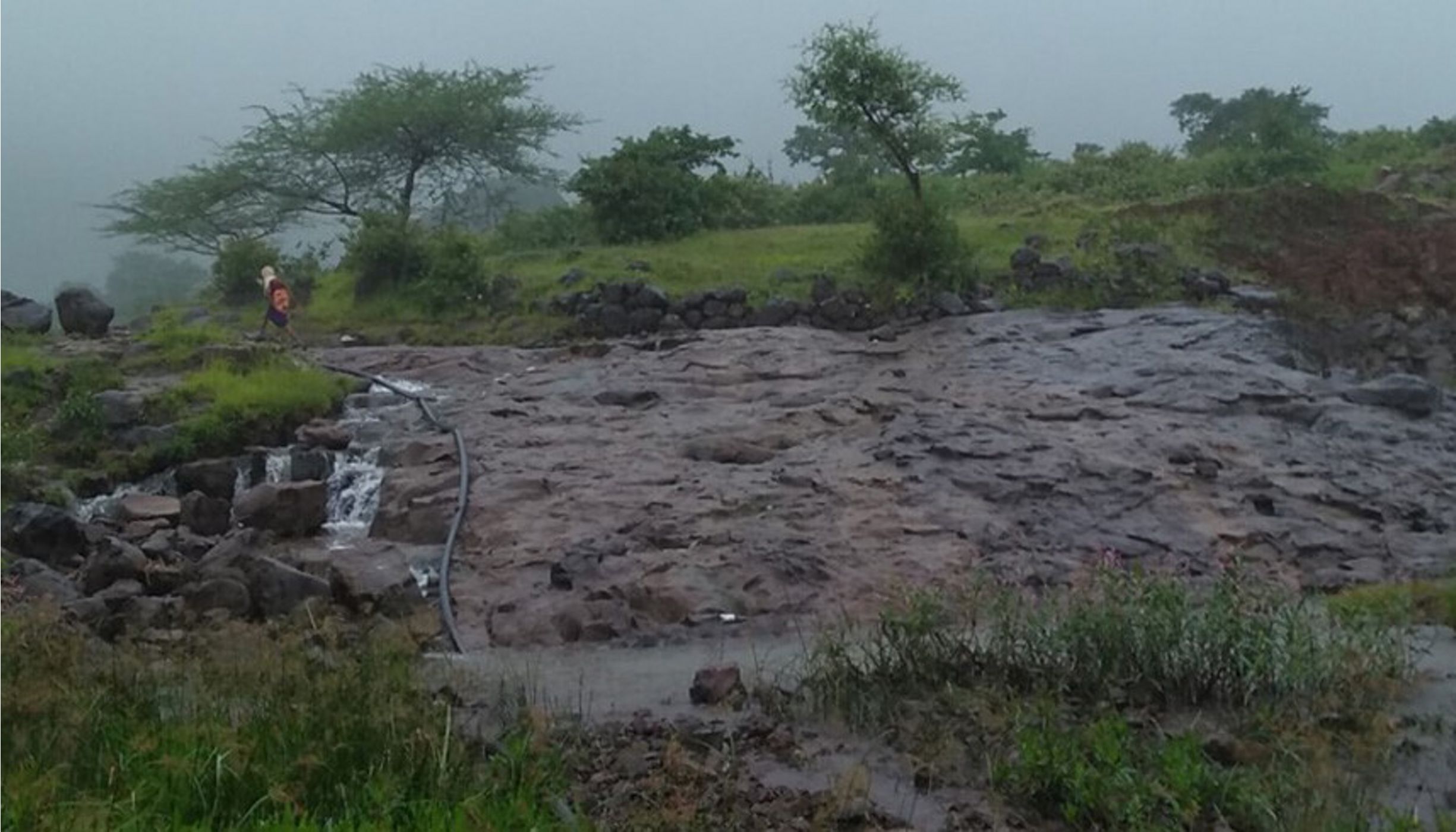 Sustainable access to fresh water is a key focus area for The Nature Conservancy in India.