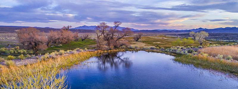 A blue pond in the desert with trees on the shoreline.