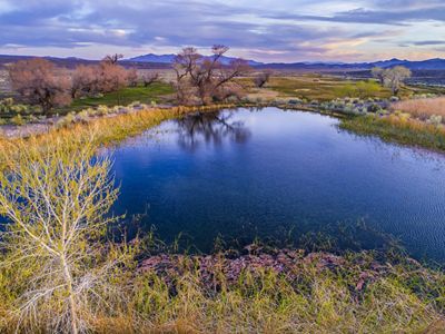 View of the pond at 7J Ranch in Oasis Valley, Nevada