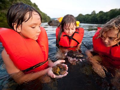 Three children wearing orange life jackets stand in a river in chest deep water examining the rocks one child is holding.