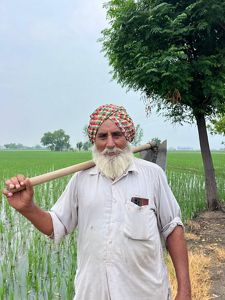 Man with white beard stands in a field holding a farming tool.