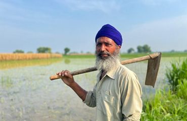 Man in button down shirt looks at the camera, holding a farming tool and stands in a rice paddy field.