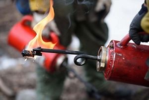 An up close image of a fire torch with a flame.