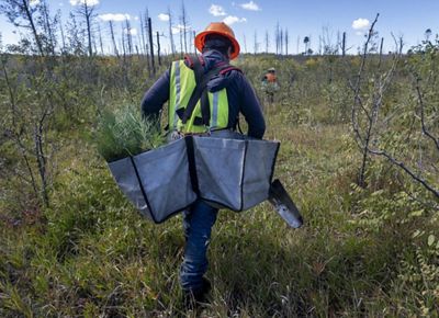 A person carrying a bag of seedlings.
