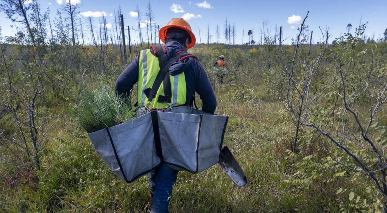 A man with a backpack carries a bag filled with various plants, walking outdoors.