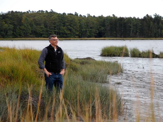 Jeremy Bell, TNC in Maine River & Coastal Restoration Director, surveys a saltwater marsh.