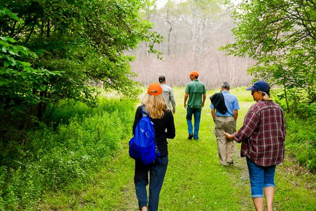 A group of people walk through a cleared grassy trail into an open field. 