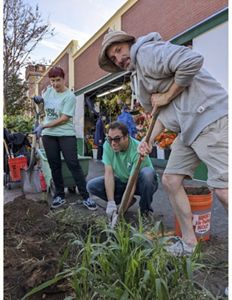 People planting a tree on a sidewalk