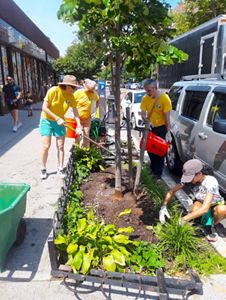 A group of people watering a tree on a sidewalk.