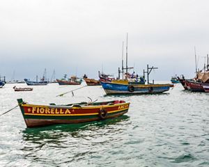 Ancon on the coast of central Peru has agreed to adopt science-based measures that have led to better catches.